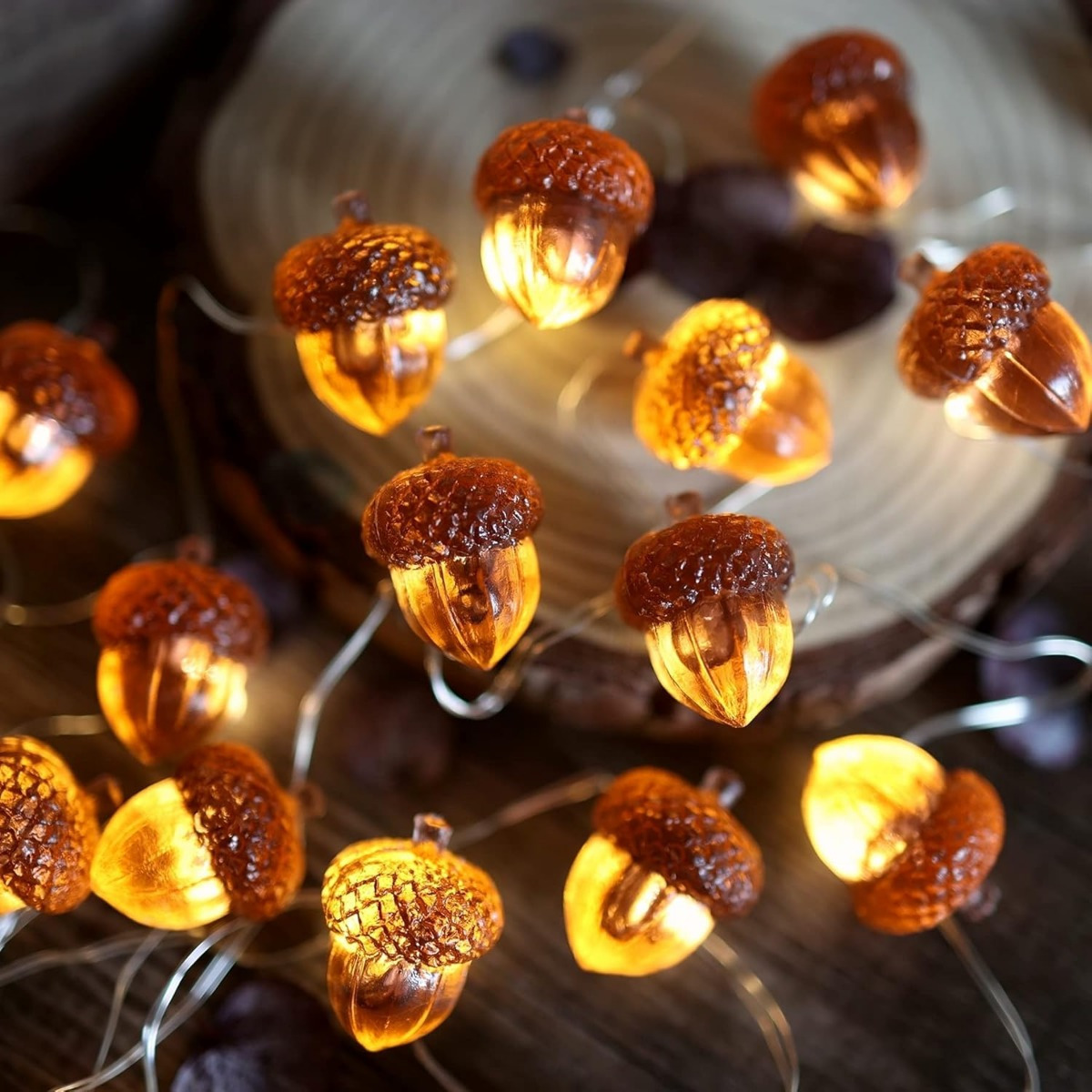 Led Fairy String Lights - 30 LED's Eikel Lichtslingers Thanksgiving Decoraties